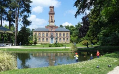 Gestion de patrimoine à Tarbes : une stratégie patrimoniale adaptée à vos projets avec un cabinet indépendant