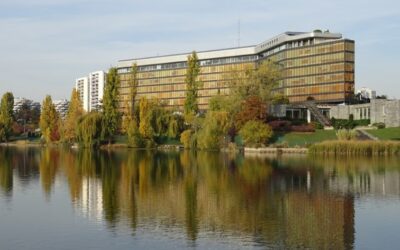Gestion de patrimoine à Créteil : une stratégie patrimoniale adaptée à vos projets et un suivi par un cabinet indépendant